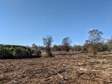 Undeveloped Land in Marshall County, Alabama
