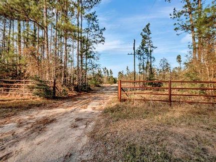 Land in Polk County, Texas
