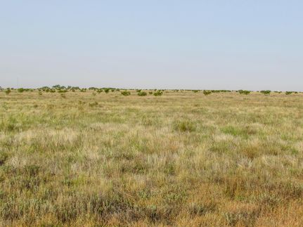 Farm and Ranch in Howard County, Texas