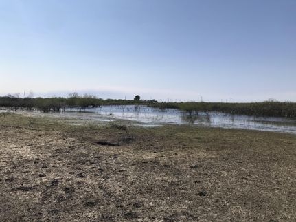 Recreational Property in Willacy County, Texas