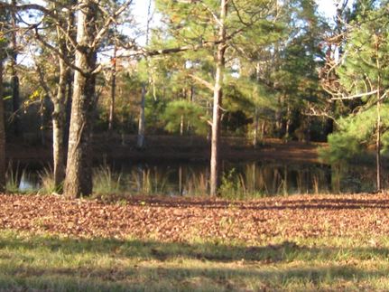 Undeveloped Land in Henderson County, Texas