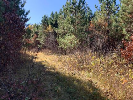 Commercial Property in Polk County, Wisconsin