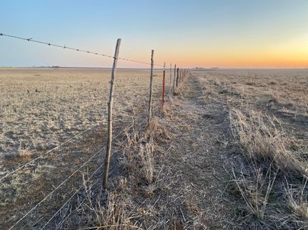 Recreational Property in Briscoe County, Texas