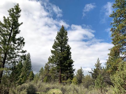 Undeveloped Land in Klamath County, Oregon