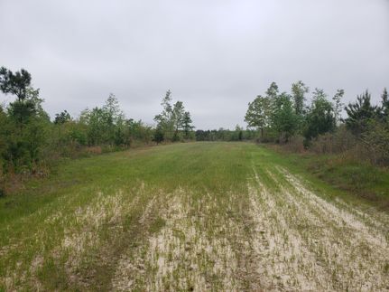 Recreational Property in Jefferson County, Georgia