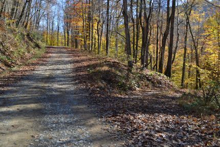 Undeveloped Land in Webster County, West Virginia