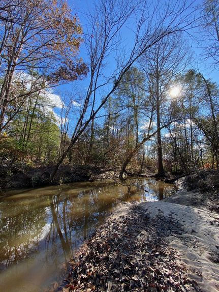 Farm and Ranch in Clarke County, Alabama