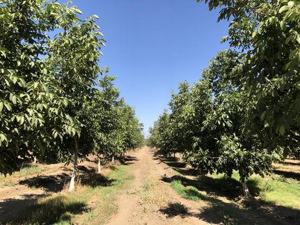 Farm and Ranch in Tulare County, California