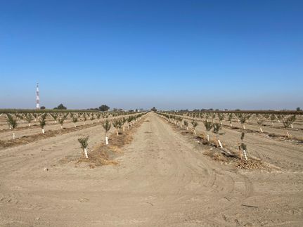 Land in Fresno County, California
