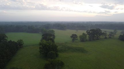 Farm and Ranch in East Feliciana Parish, Louisiana