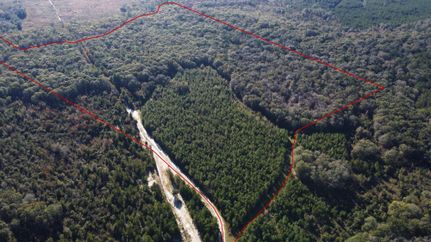 Land in Nassau County, Florida