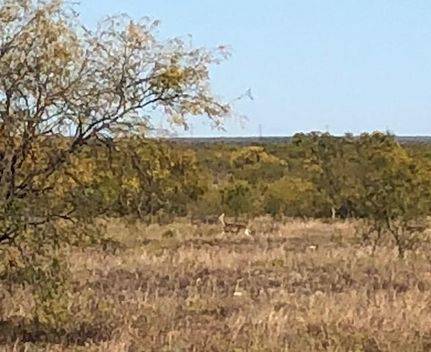 Farm and Ranch in Concho County, Texas
