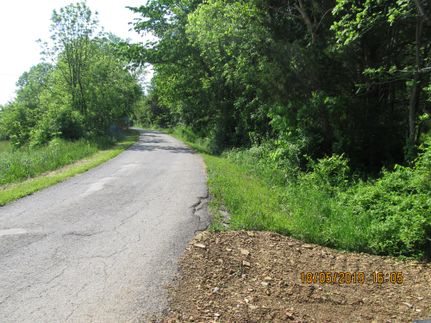 Timberland Property in Nicholas County, Kentucky
