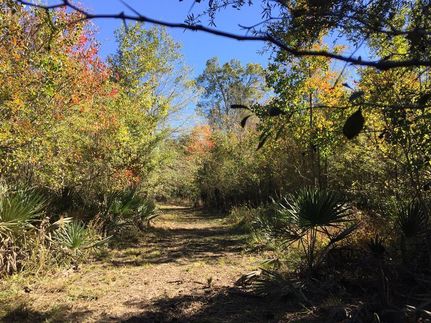 Farm and Ranch in Polk County, Texas