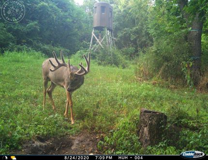 Farm and Ranch in Richland County, Wisconsin