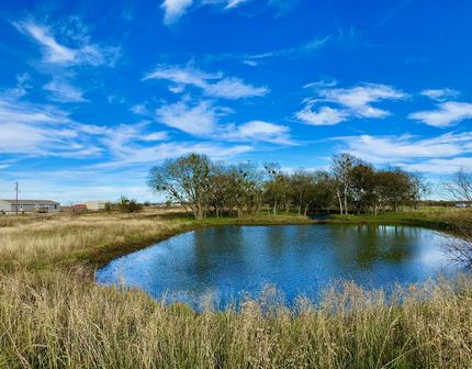 Timberland Property in Limestone County, Texas