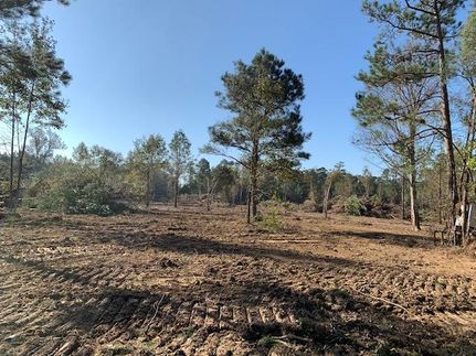 Timberland Property in Ouachita Parish, Louisiana