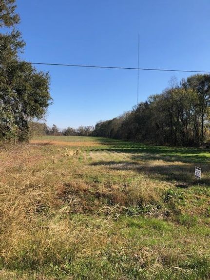 Farm and Ranch in Avoyelles Parish, Louisiana