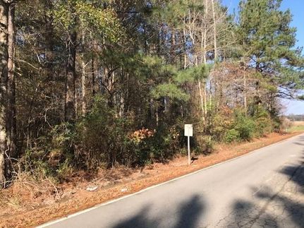 Timberland Property in Madison County, Mississippi