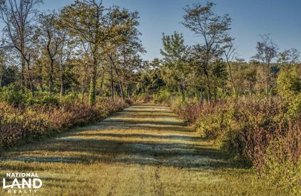 Land in Madison Parish, Louisiana