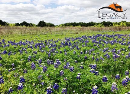 Land in McLennan County, Texas