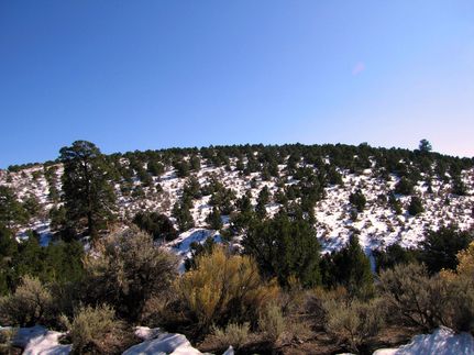 Undeveloped Land in Costilla County, Colorado