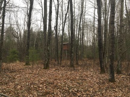Timberland Property in Oconto County, Wisconsin