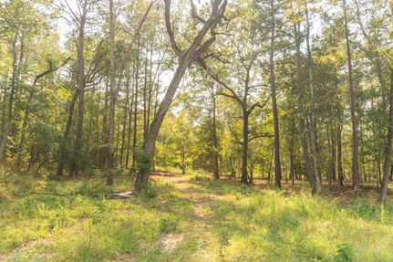 Undeveloped Land in Cherokee County, Texas