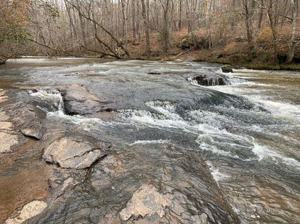 Timberland Property in Morgan County, Georgia