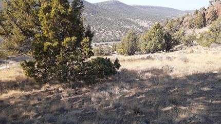 Undeveloped Land in Crook County, Oregon