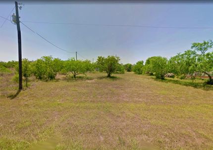 Undeveloped Land in Live Oak County, Texas