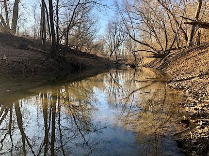 Timberland Property in Callaway County, Missouri