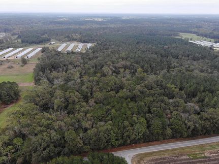Undeveloped Land in Covington County, Mississippi