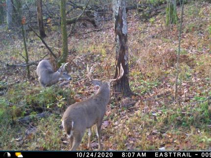 Recreational Property in Crawford County, Wisconsin