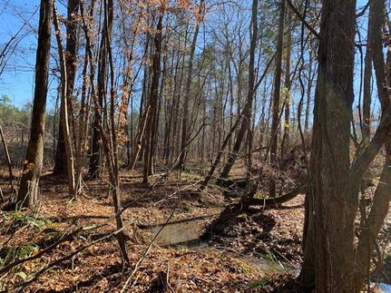 Timberland Property in Saluda County, South Carolina