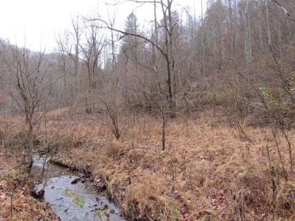 Land in Washington County, Virginia
