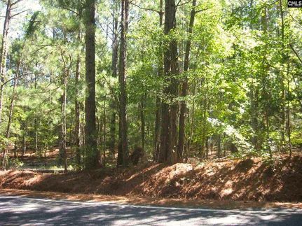 Undeveloped Land in Kershaw County, South Carolina