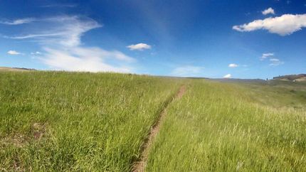 Undeveloped Land in Okanogan County, Washington