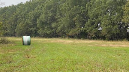 Land in Red River County, Texas