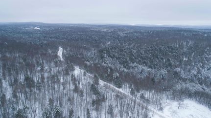 Undeveloped Land in Tioga County, New York