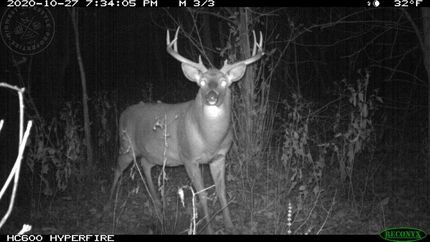 Land in Iowa County, Wisconsin