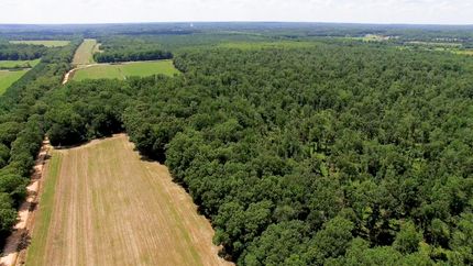 Farm and Ranch in Henderson County, Tennessee
