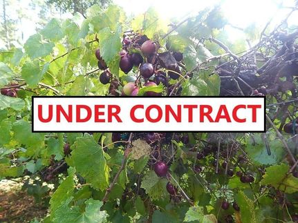 Hunting Property in Greene County, Georgia