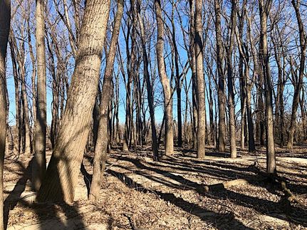 Undeveloped Land in Calhoun County, Illinois