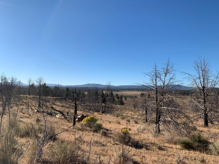 Undeveloped Land in Klamath County, Oregon