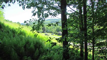 Undeveloped Land in Sullivan County, New York