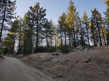 Farm and Ranch in Kern County, California