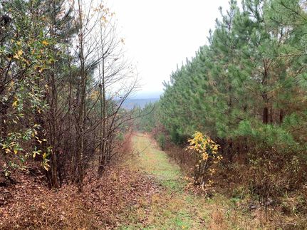 Riverfront Property in McCurtain County, Oklahoma