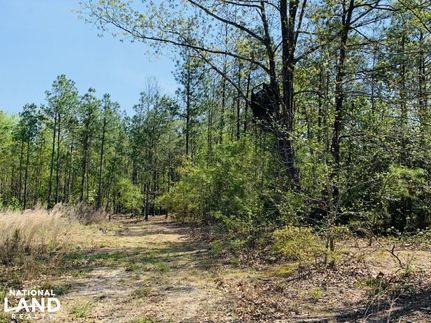 Land in Darlington County, South Carolina