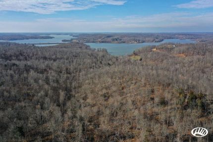 Timberland Property in Lyon County, Kentucky